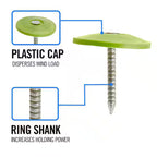 1 in. x 12D Electro-Galvanized Plastic Cap Non-Collated Roofing Nails 8.2 lbs.